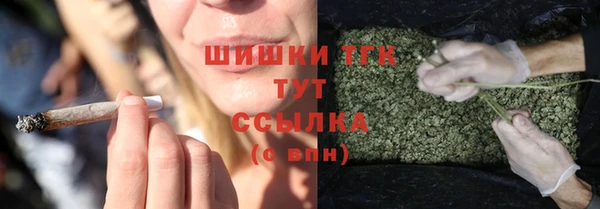 тгк Магас