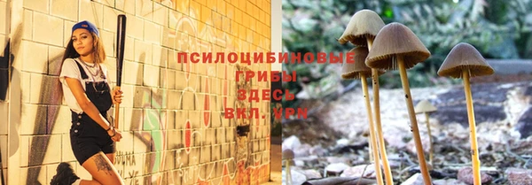 трава Магадан