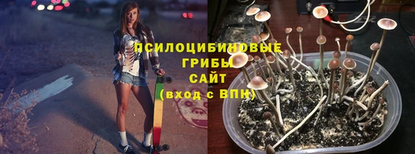 бошки Майский
